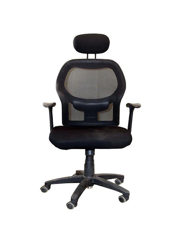 Beatriz Chair