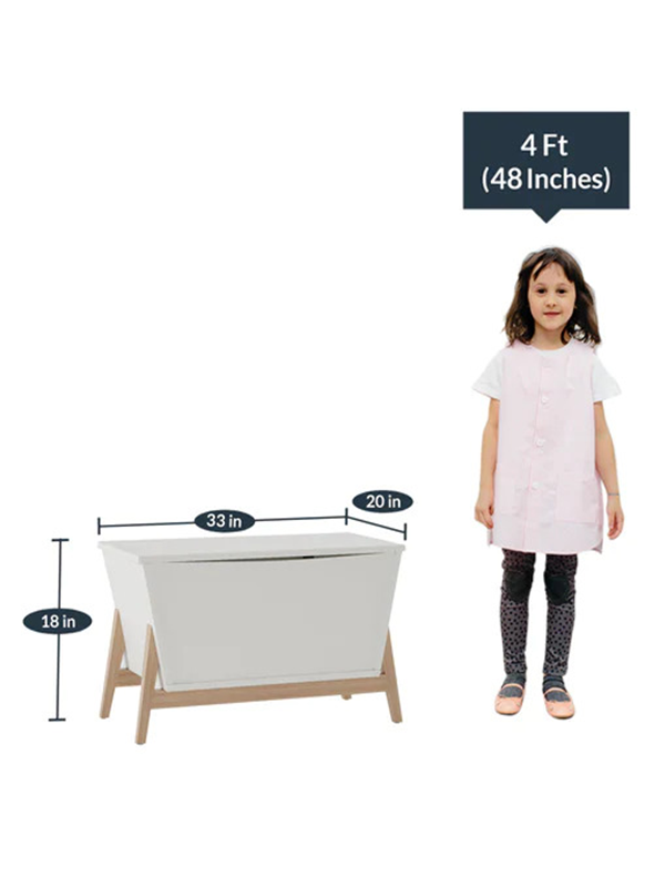 Beedle Storage Trunk Cabinet - Image 4