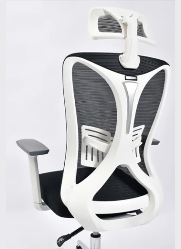 Delwis Manager Chair - Image 8