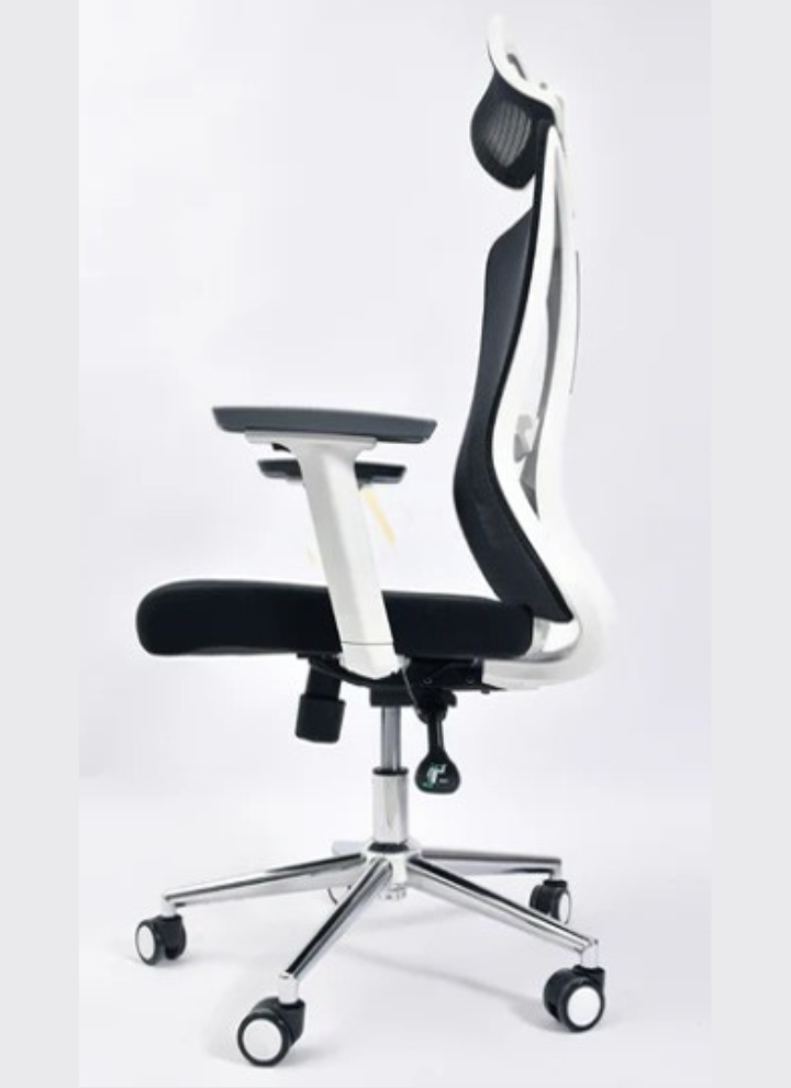 Delwis Manager Chair - Image 5